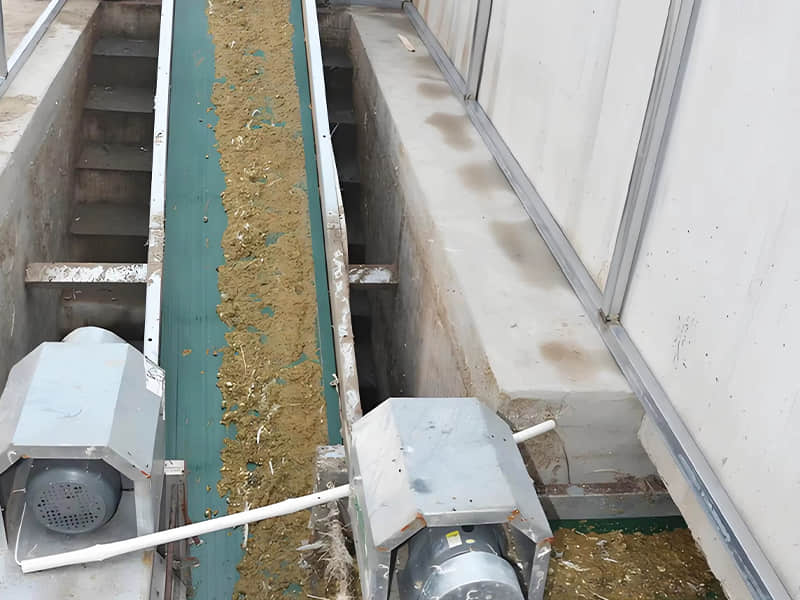Belt Type Manure Removal System for Poultry Cage Farm Cleaning Equipment