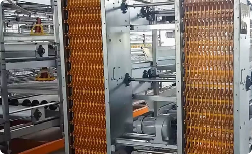 Automatic Egg Collection System for Commercial Layer Cage Farm