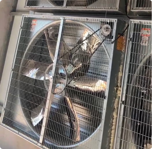 Poultry Exhaust Fan for Farm Ventilation and Cooling System | High Air Volume Industrial Fan