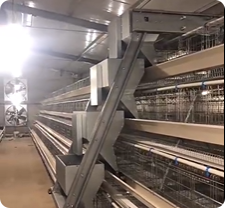 Hot Dip Galvanized A-Type Layer Cage System for Commercial Egg Farming