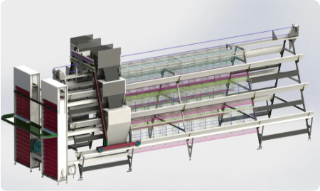 Hot Dip Galvanized A-Type Layer Cage System for Commercial Egg Farming