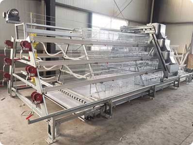 A-Type Broiler Cage System for Commercial Poultry Farming | Automatic Equipment