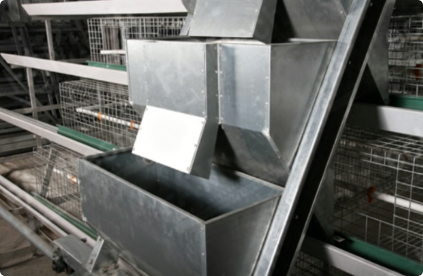 A-Type Broiler Cage System for Commercial Poultry Farming | Automatic Equipment