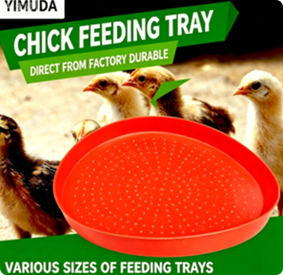 Heavy Duty Plastic Chick Feeding Tray for Baby Chicks | Anti-Spill Poultry Brooder Feeder Pan