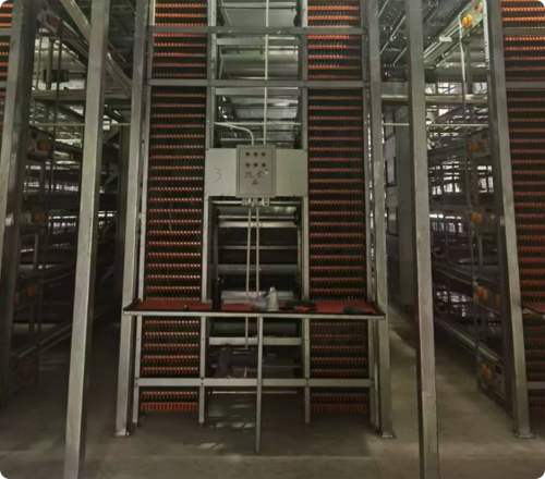 H-Type Layer Battery Cage System for Commercial Egg Farming
