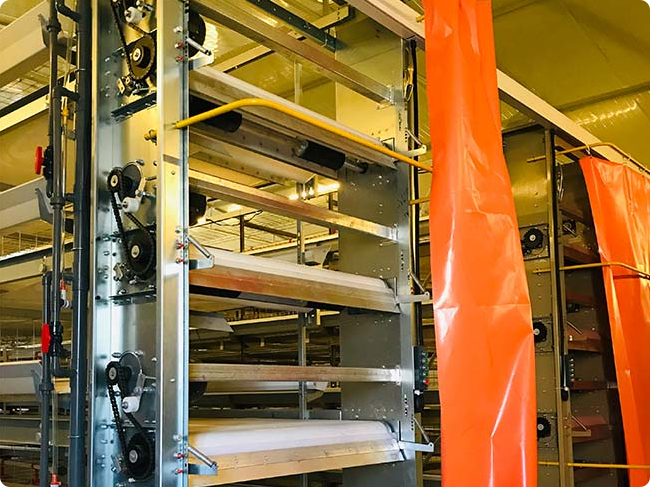 Fully automatic H-type poultry cage system for broiler chicken farm large-scale production Fully automatic H-type poultry cage system for broiler chicken farm large-scale production