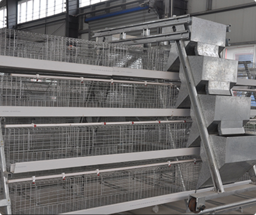 A-Type Broiler Cage System for Commercial Poultry Farming | Automatic Equipment