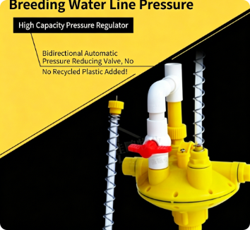 Poultry Water Line Pressure Regulator for Automatic Drinking System | Chicken Farm Equipment