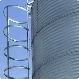 Hot Dip Galvanized Feed Silo | Anti-Corrosion Automatic Feed Storage Tower for Poultry Farm
