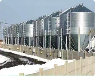 Hot Dip Galvanized Feed Silo | Anti-Corrosion Automatic Feed Storage Tower for Poultry Farm