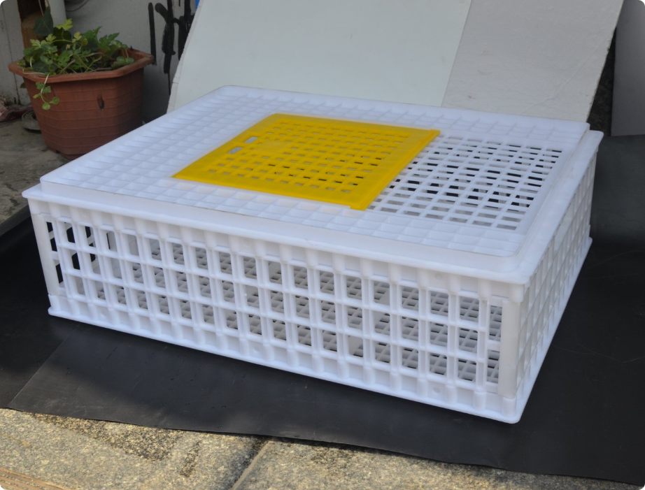 Plastic Poultry Transport Crate |  Chicken Duck Transport Cage for Farm Use