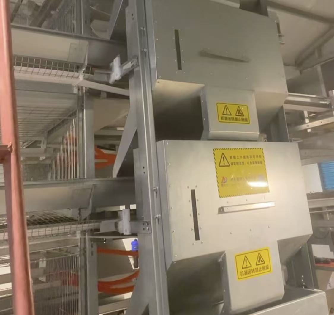 Automatic chicken feeding system for poultry farm with automated feeding equipment for broiler and layer chickens Automatic chicken feeding system for poultry farm with automated feeding equipment for broiler and layer chickens