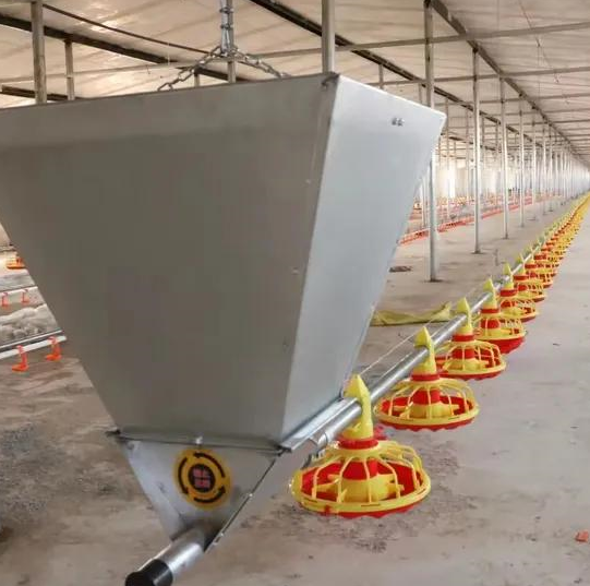 Automatic poultry feeding system for modern broiler and layer chicken farms