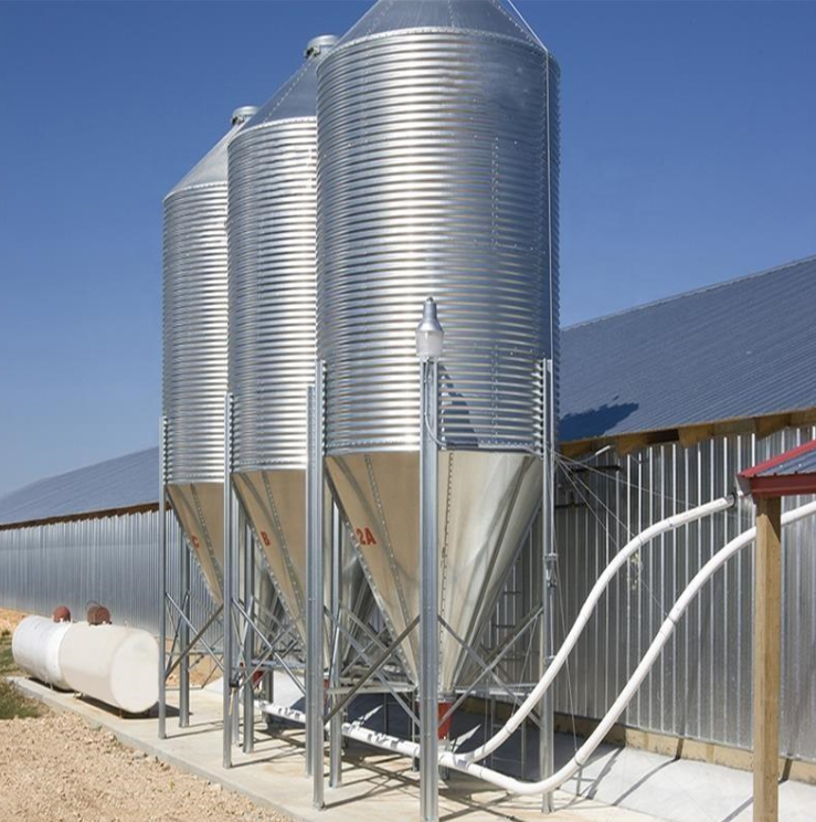 Automatic poultry feeding system for modern broiler and layer chicken farms